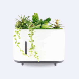 Zen Uchii Terra Planter | Modular Aroma Diffuser