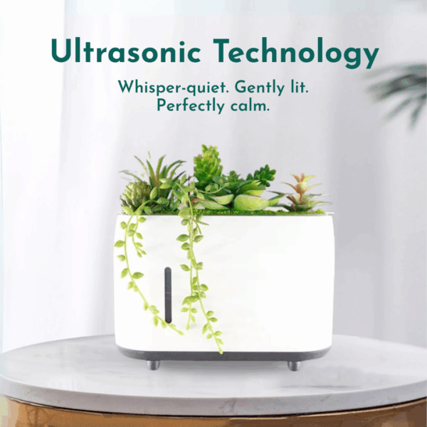Zen Uchii Terra Planter | Modular Aroma Diffuser - Image 2